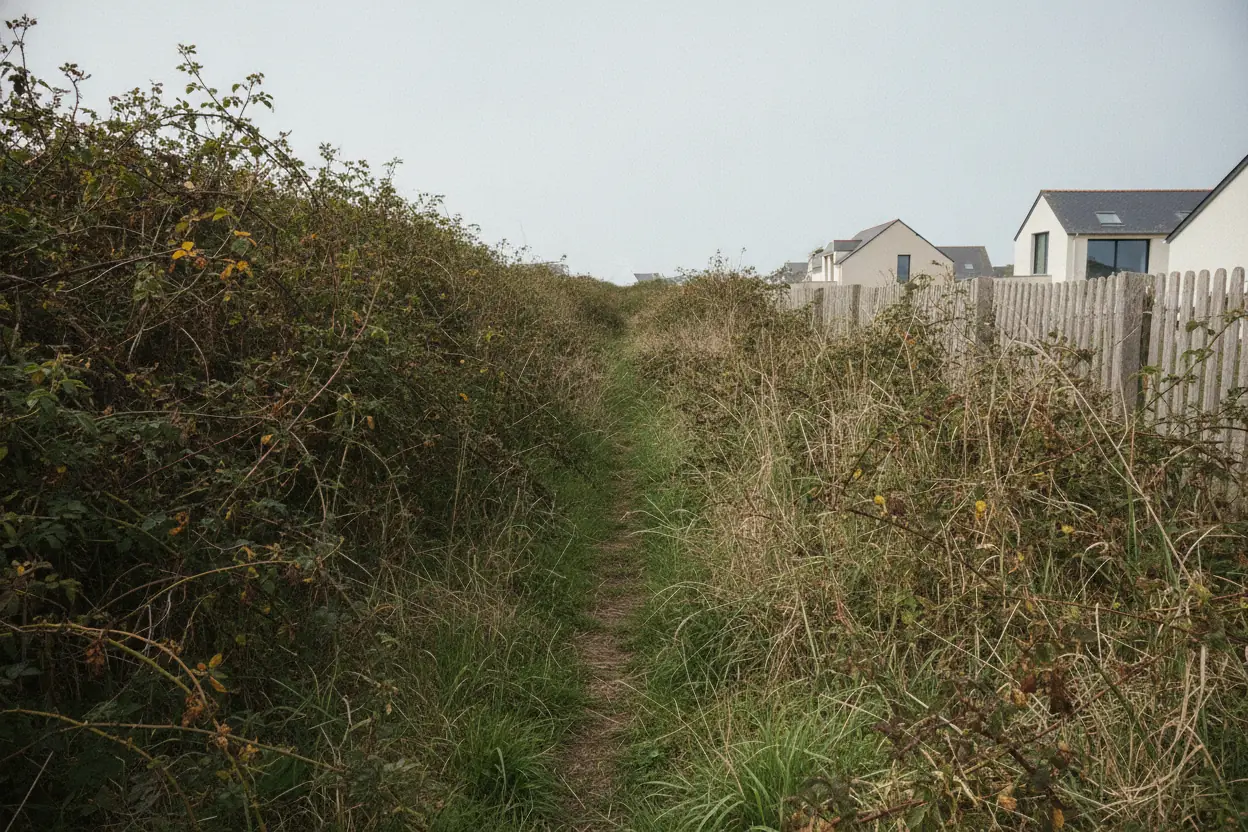 Passage envahi de ronces et de hautes herbes le long d'une clôture à Octeville-sur-Mer avant débroussaillage